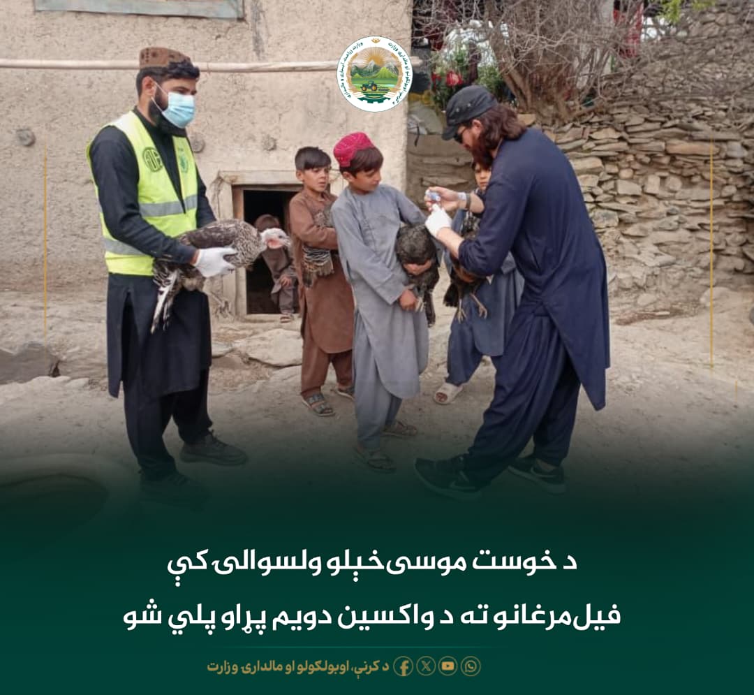 د ورځ مهمی خبری