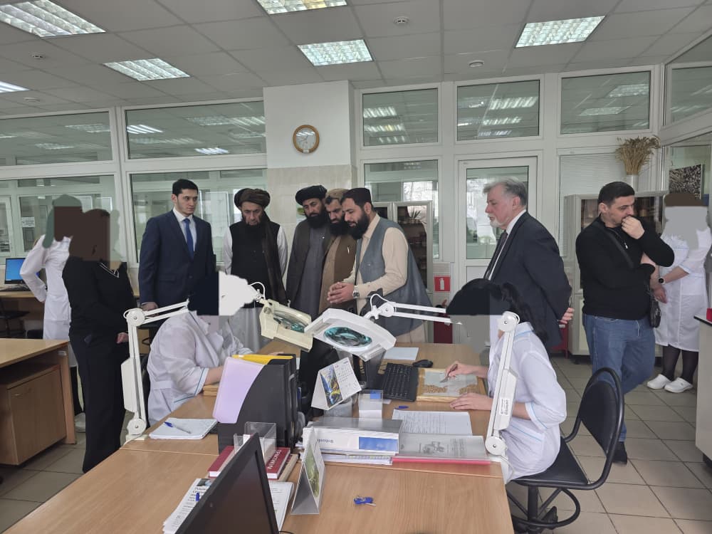 د کرنې وزارت پلاوي په روسیه کې د کرنیزو او مالدارۍ محصولاتو د کیفیت د تضمین له څېړنیز مرکز څخه لیدنه وکړه