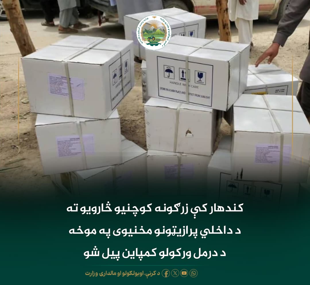 د ورځ مهمی خبری