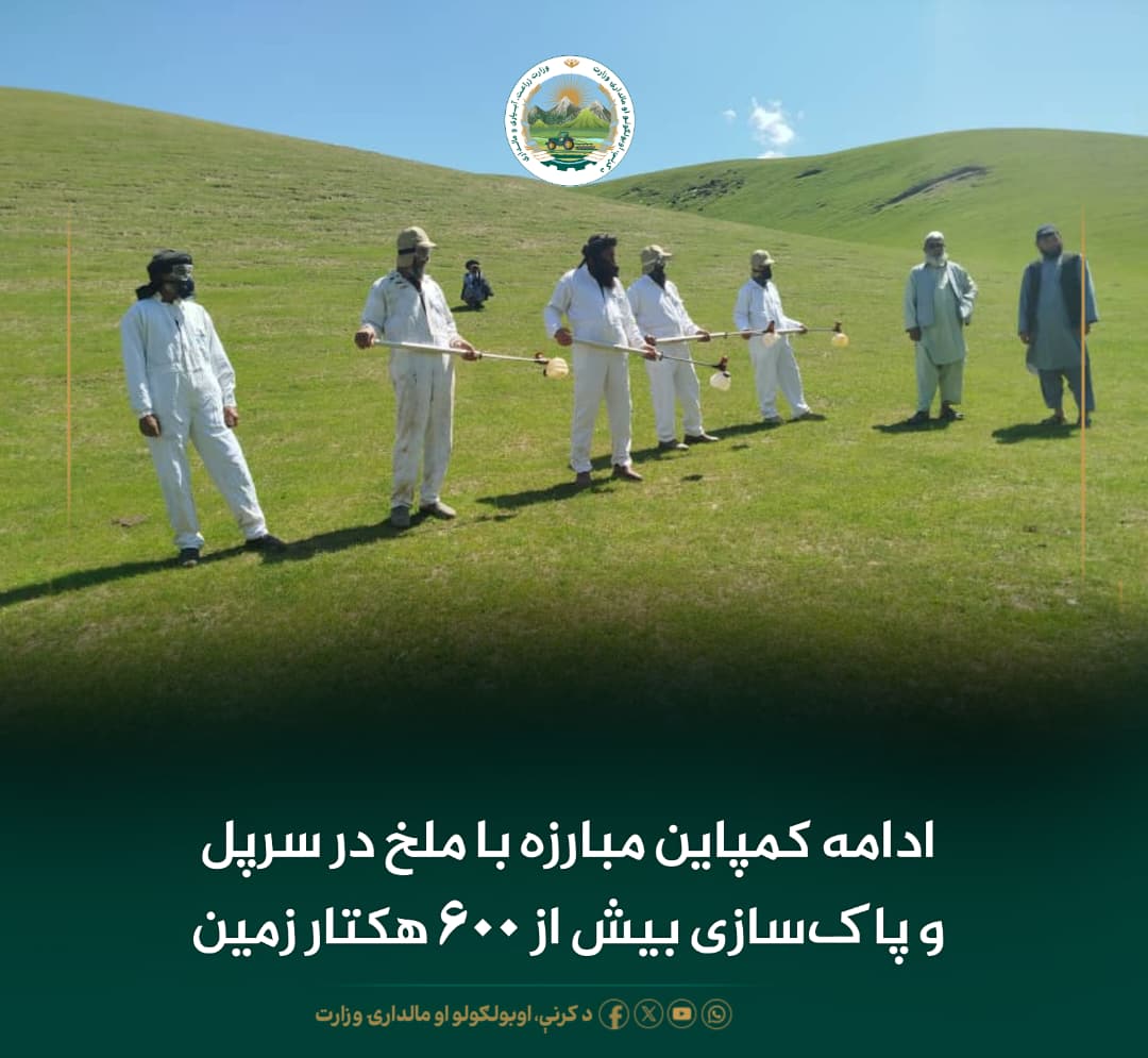 خبرهای مهم روز