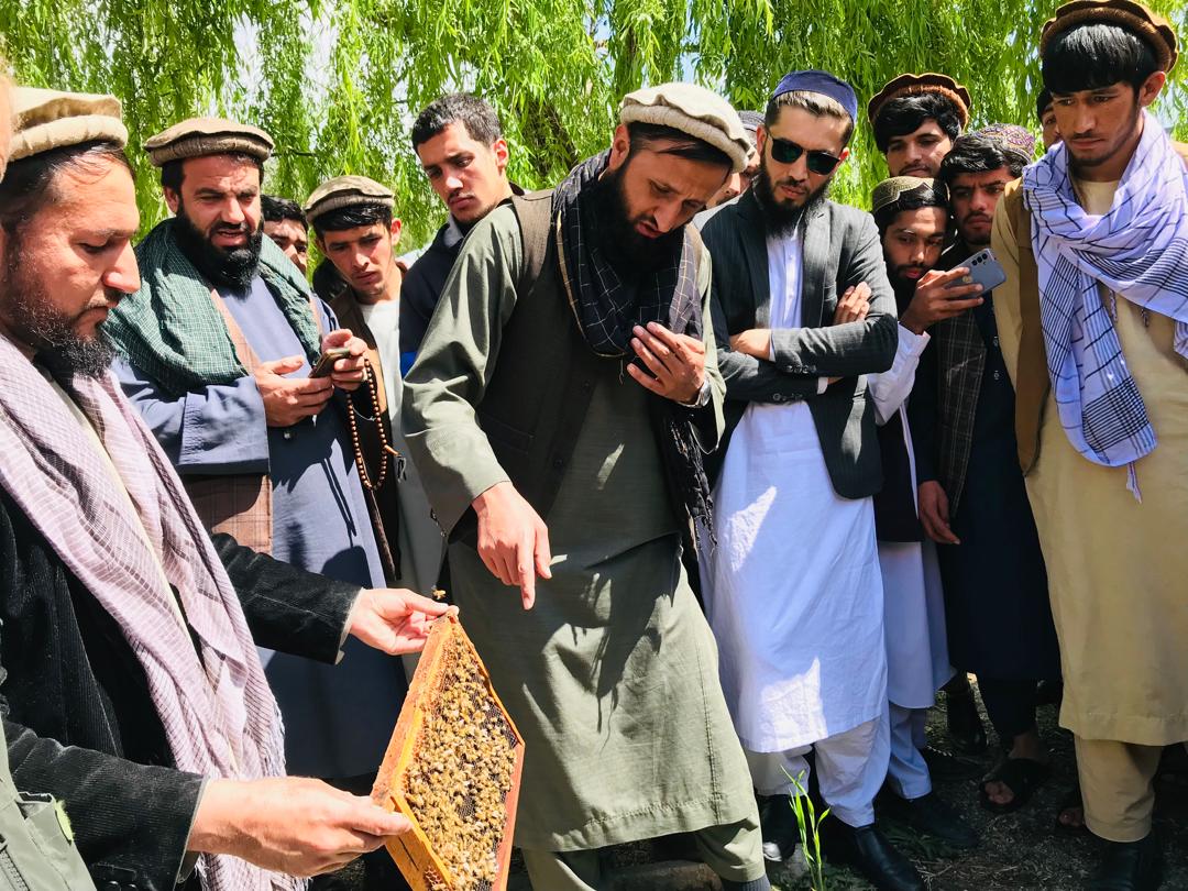 ارائه آموزش‌های عملی برای محصلان پوهنځی زراعت پوهنتون پنجشیر