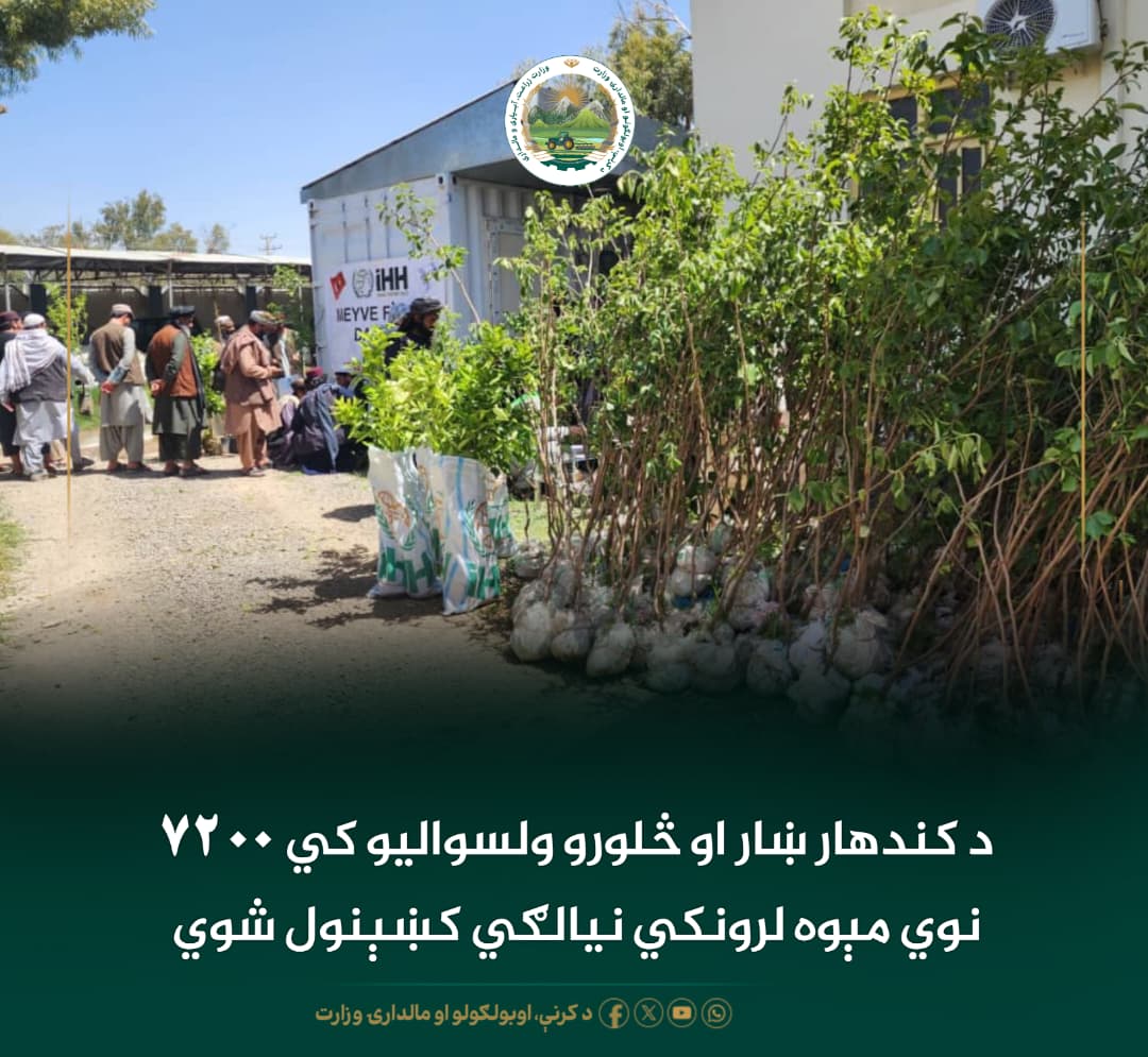 د ورځ مهمی خبری