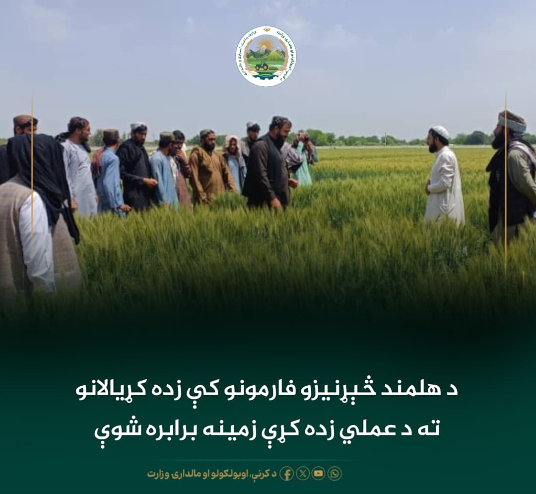 د ورځ مهمی خبری