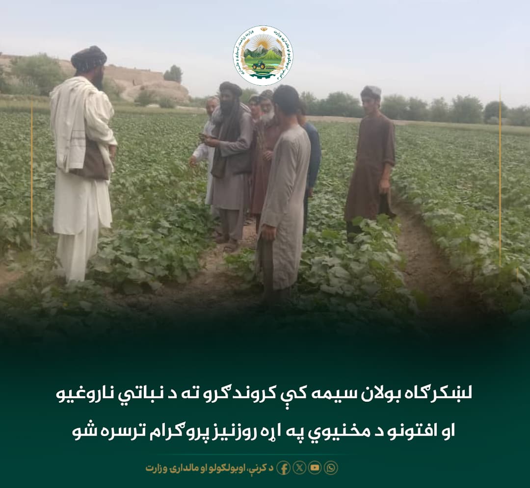 د ورځ مهمی خبری