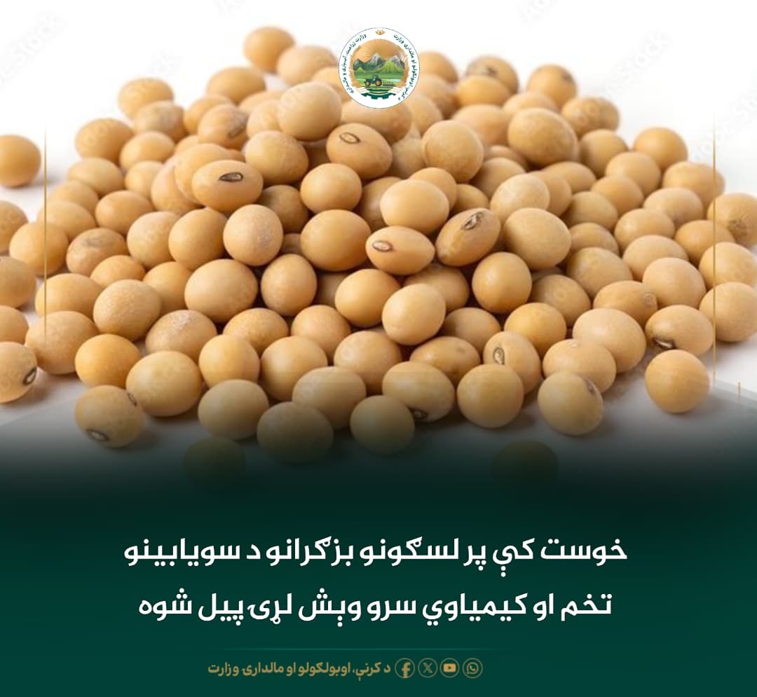 د ورځ مهمی خبری