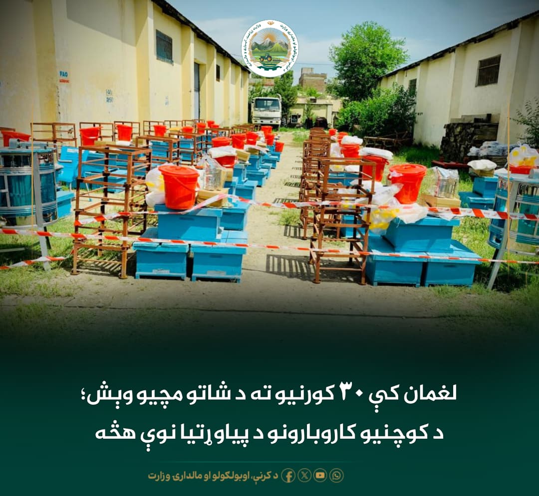 د ورځ مهمی خبری