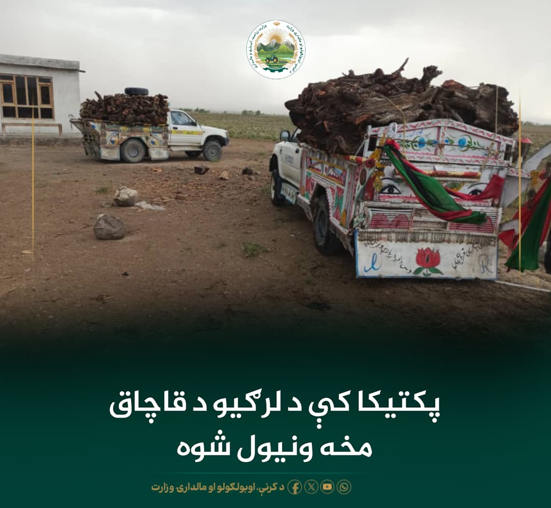 د ورځ مهمی خبری