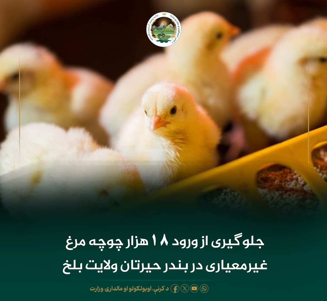 خبرهای مهم روز