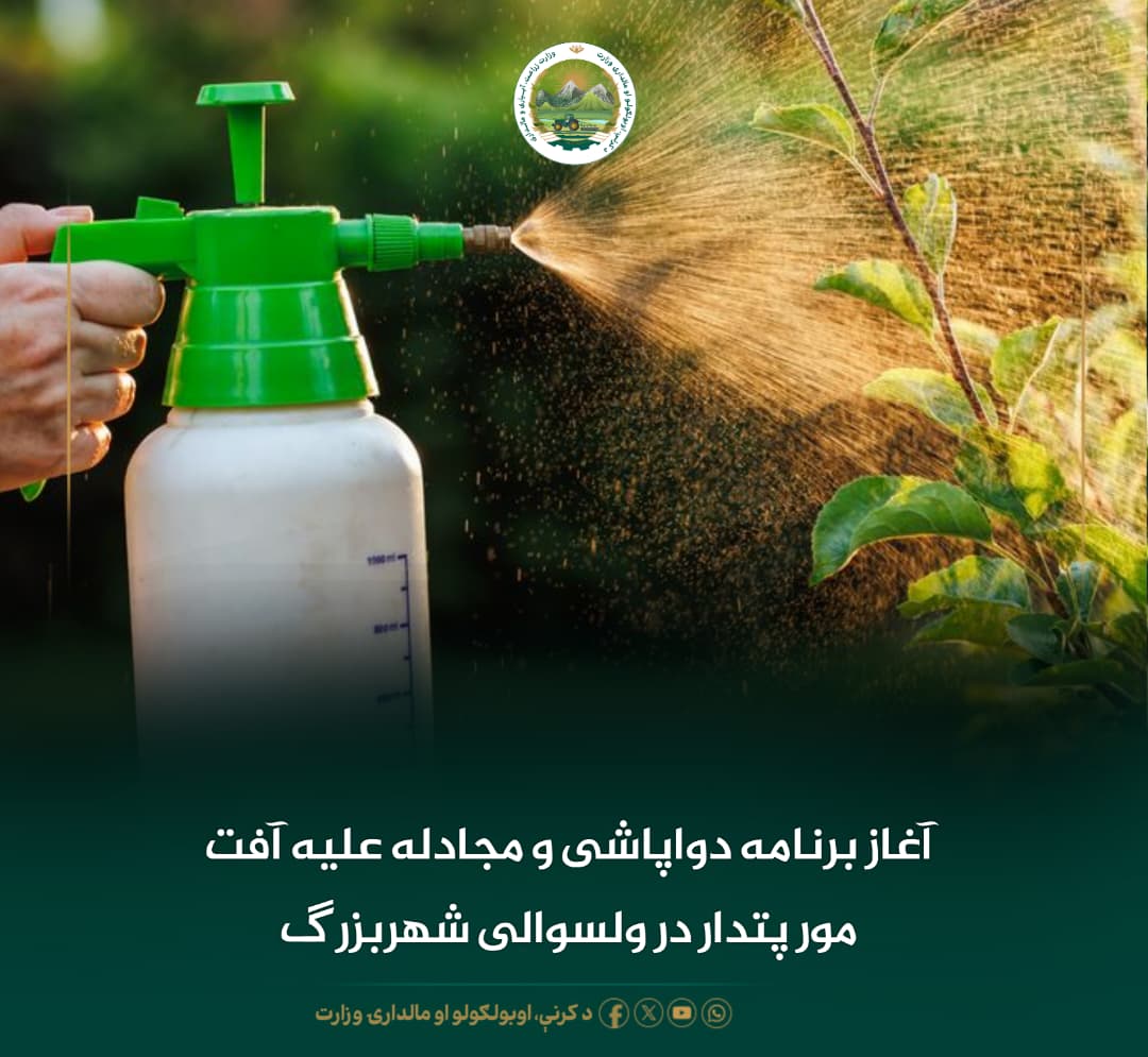 خبرهای مهم روز