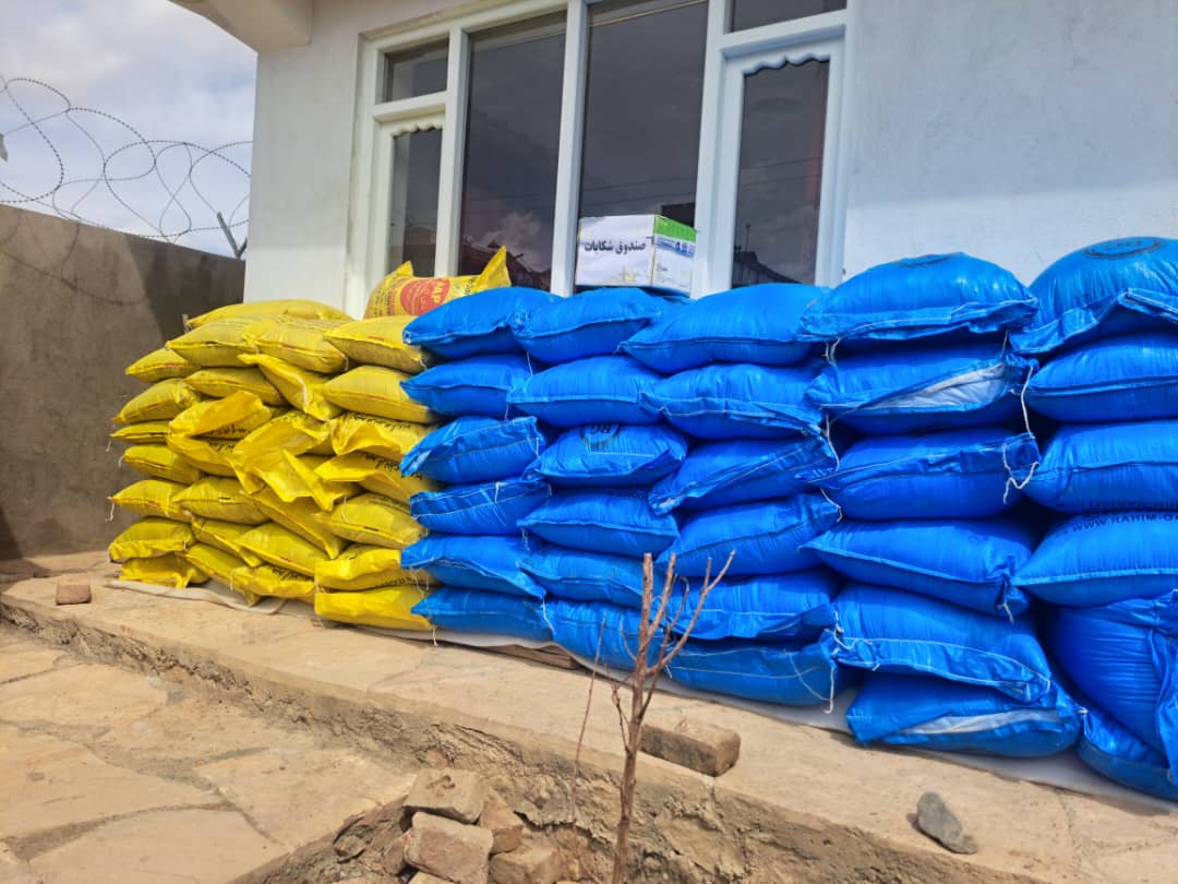 توزیع تخم اصلاح‌شده کچالو و کود کیمیاوی برای دهاقین در بامیان