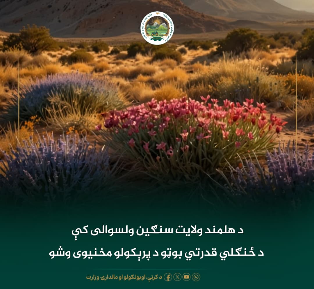 د ورځ مهمی خبری