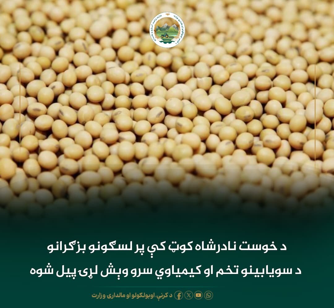 د ورځ مهمی خبری