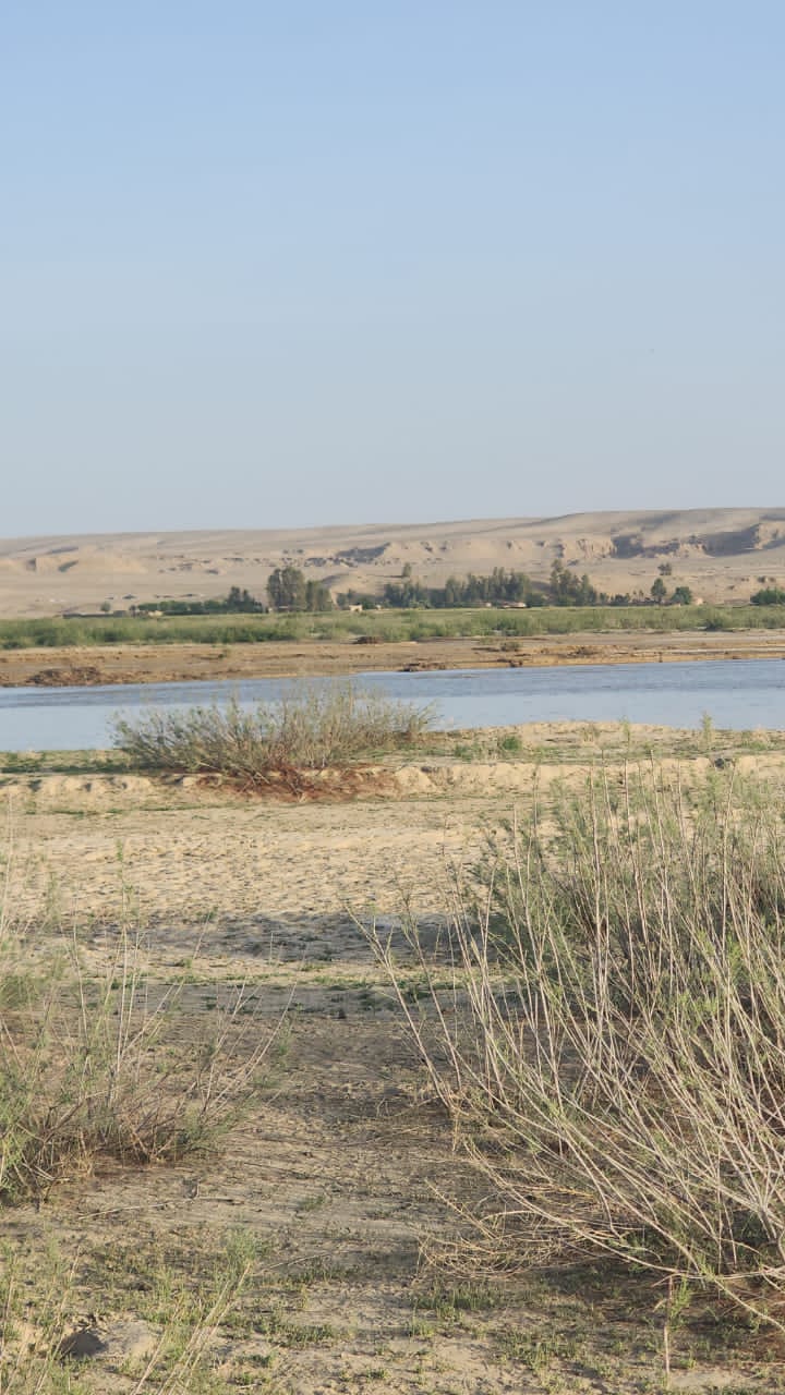 د هلمند نهرسراج کې د ځنګلونو او څړځایونو نظارت ترسره شوه