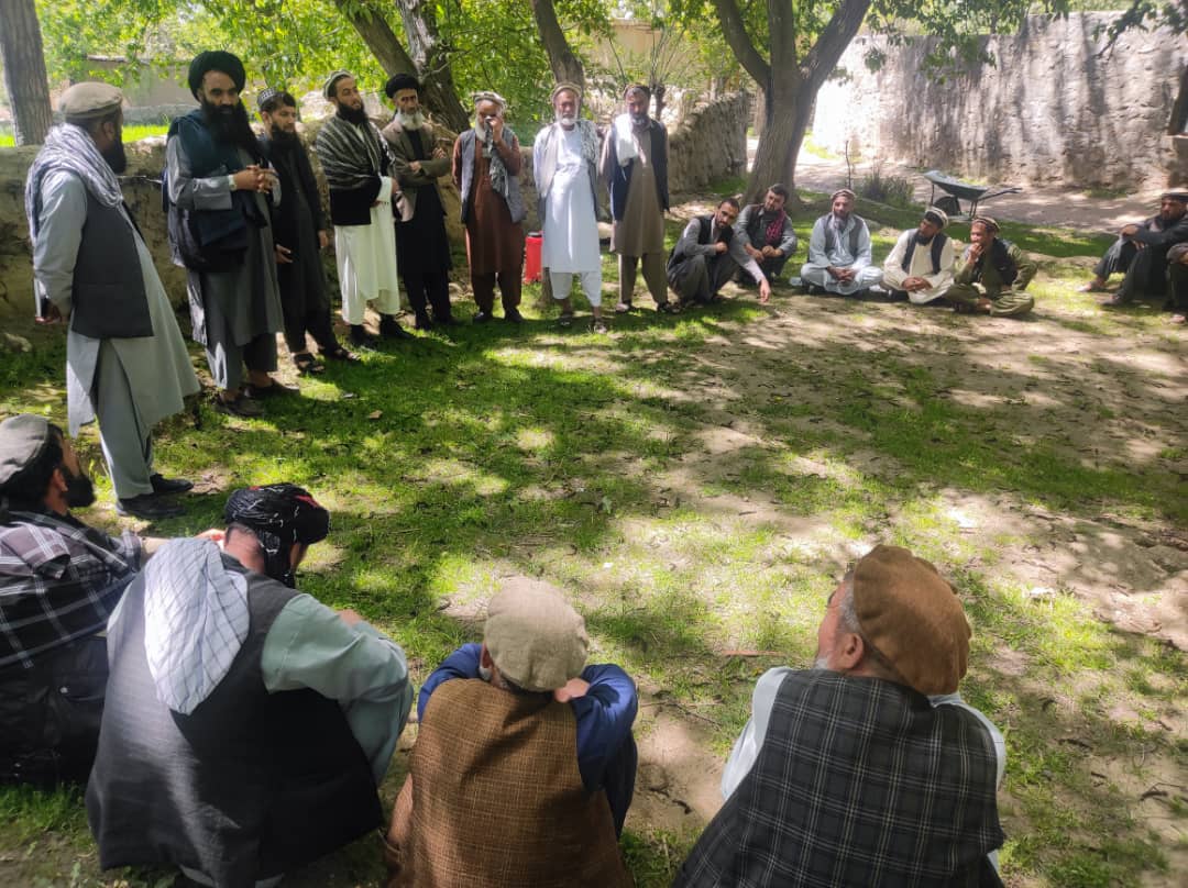 نظارت از تطبیق برنامه‌های مبارزه با آفات نباتی در نجراب کاپیسا