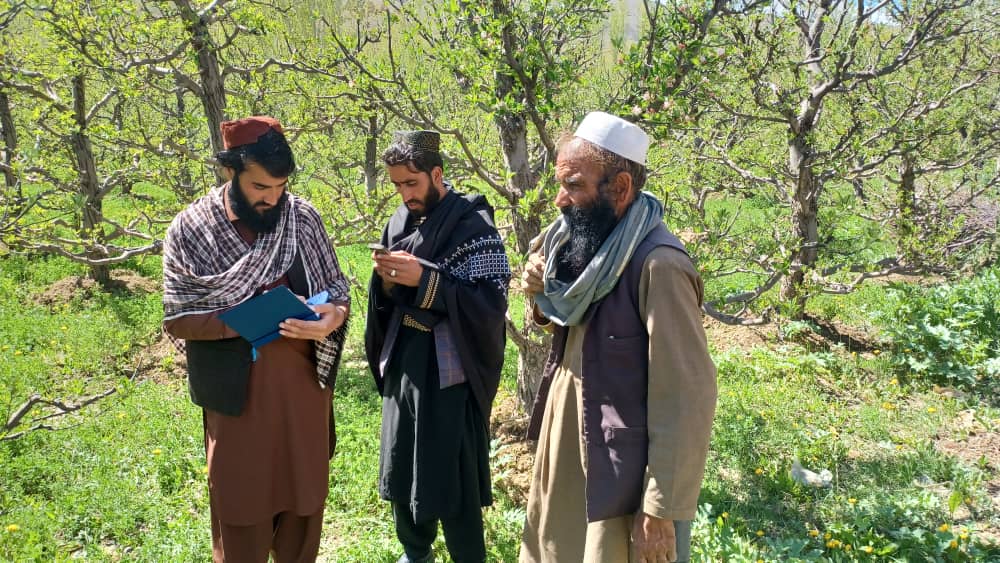 د میدان وردګو دایمیرداد کې بڼوالو ته روزنه ورکول کېږي