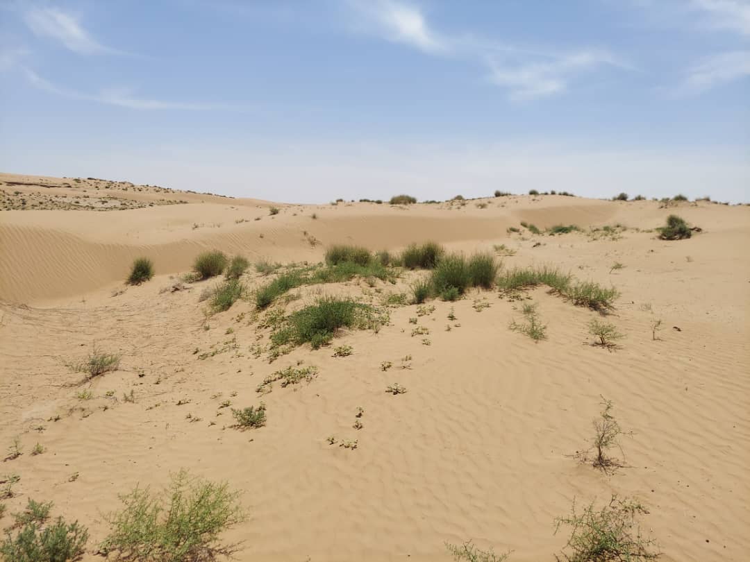 کندهار دوو ولسوالیو کي د ځنګلي بوټو ساتنې او پوهاوي په موخه څارنه ترسره شوه