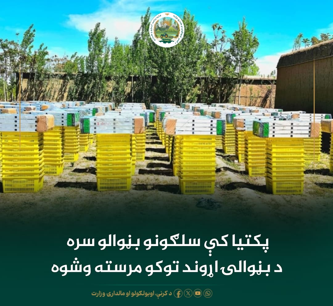 د ورځ مهمی خبری