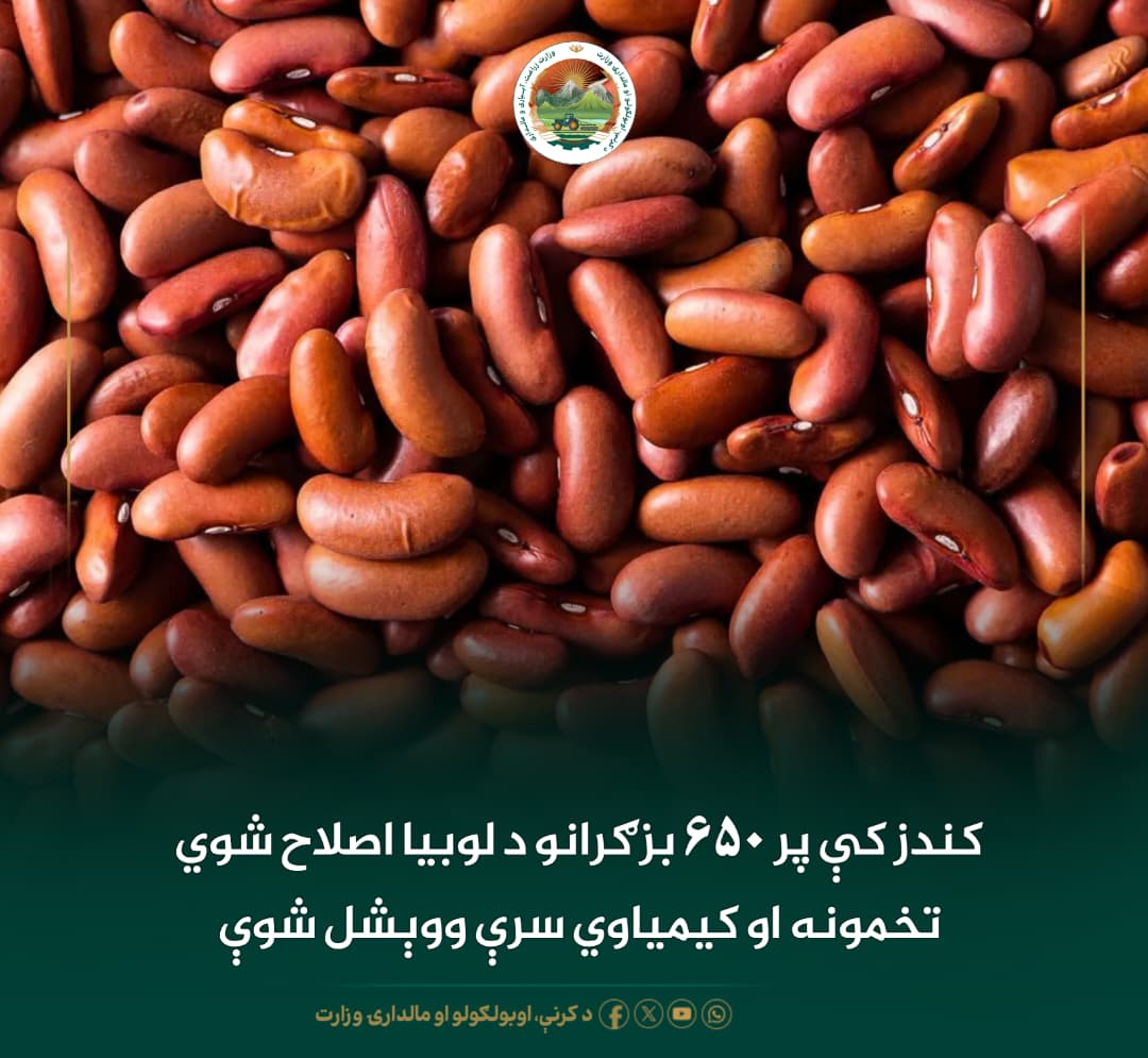 د ورځ مهمی خبری