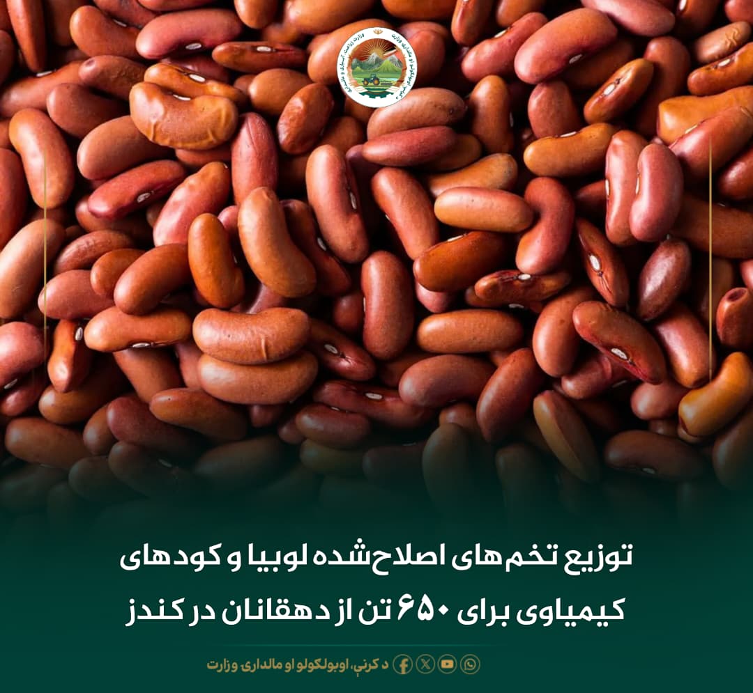 خبرهای مهم روز