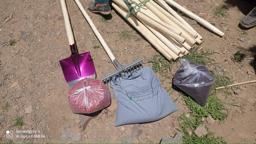 توزیع تخم لوبیا برای دهقانان مکتب مزرعه در دایکندی