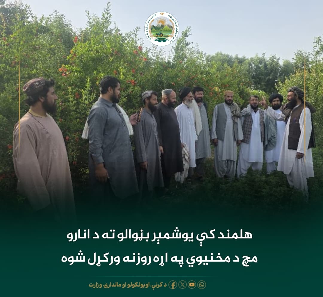 د ورځ مهمی خبری