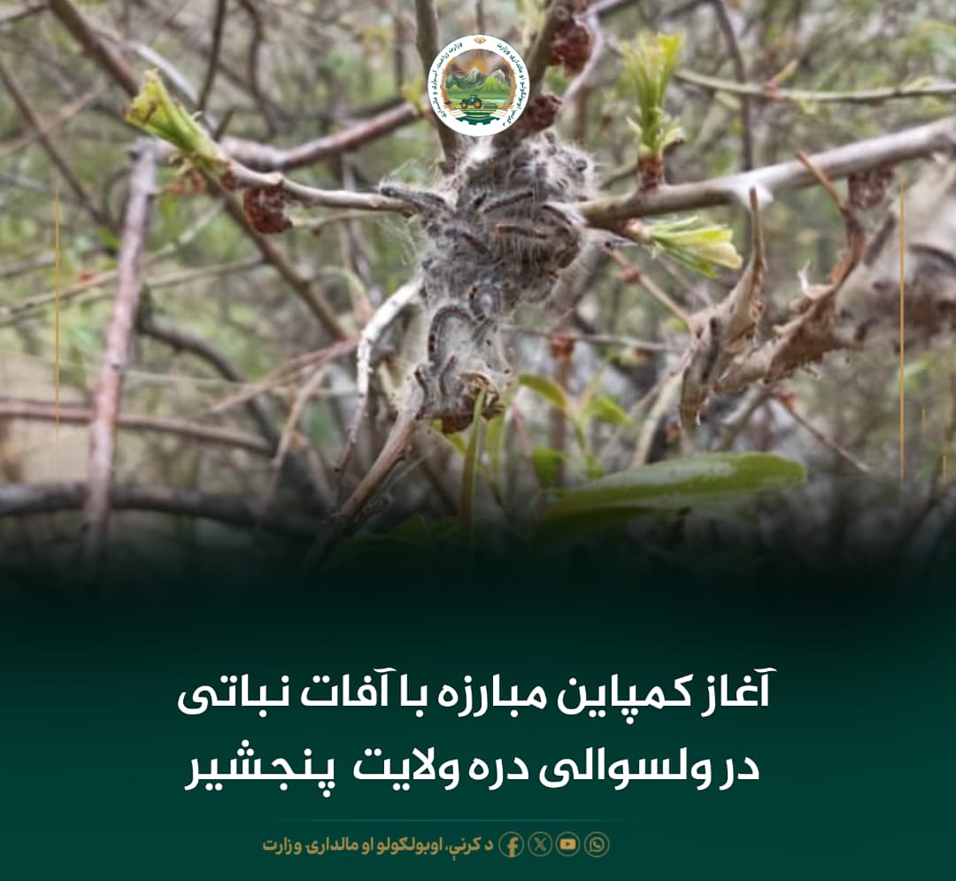 خبرهای مهم روز