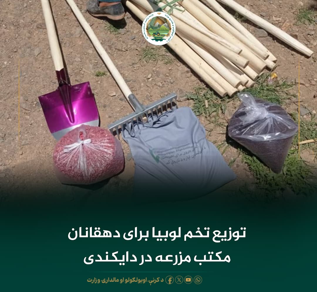 خبرهای مهم روز