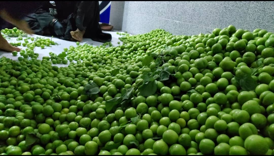 له کندهاره دوبۍ ته د الوچې صادراتو نوې لړۍ پیل شوه؛ د بزګرانو عواید لوړېدو ته هیله‌مندي