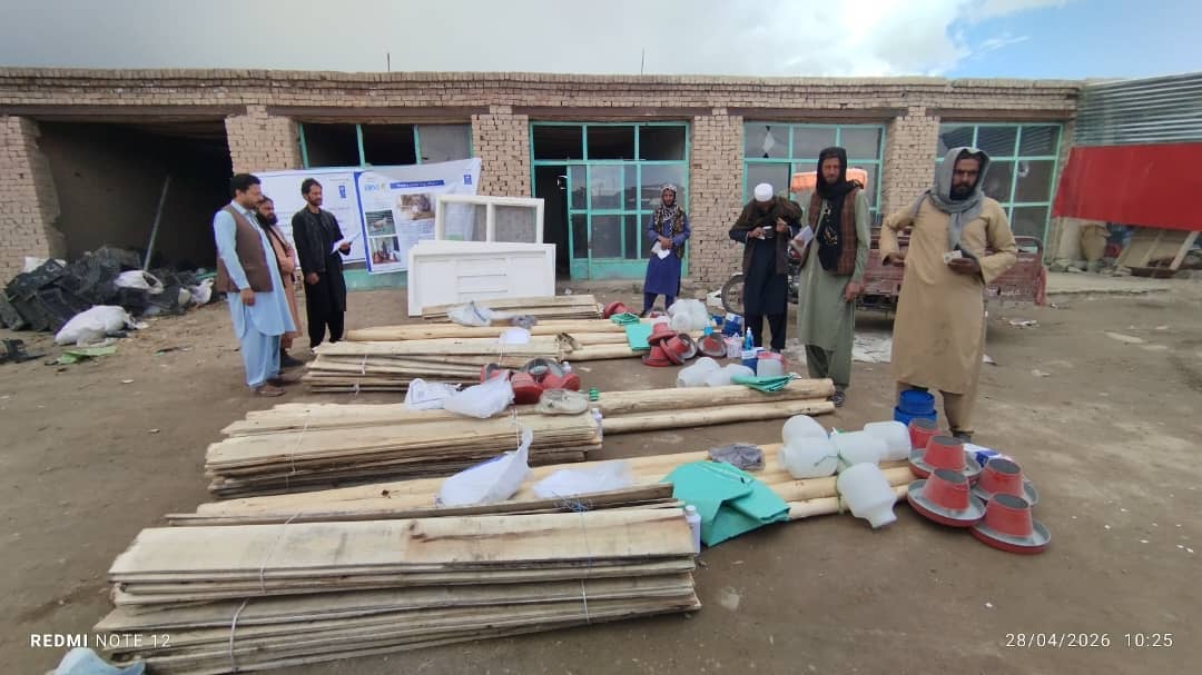 پکتیکا کې د چرګانو فارمونو ملاتړ؛ د کلیوالو عایداتو د لوړولو لپاره مهم ګام