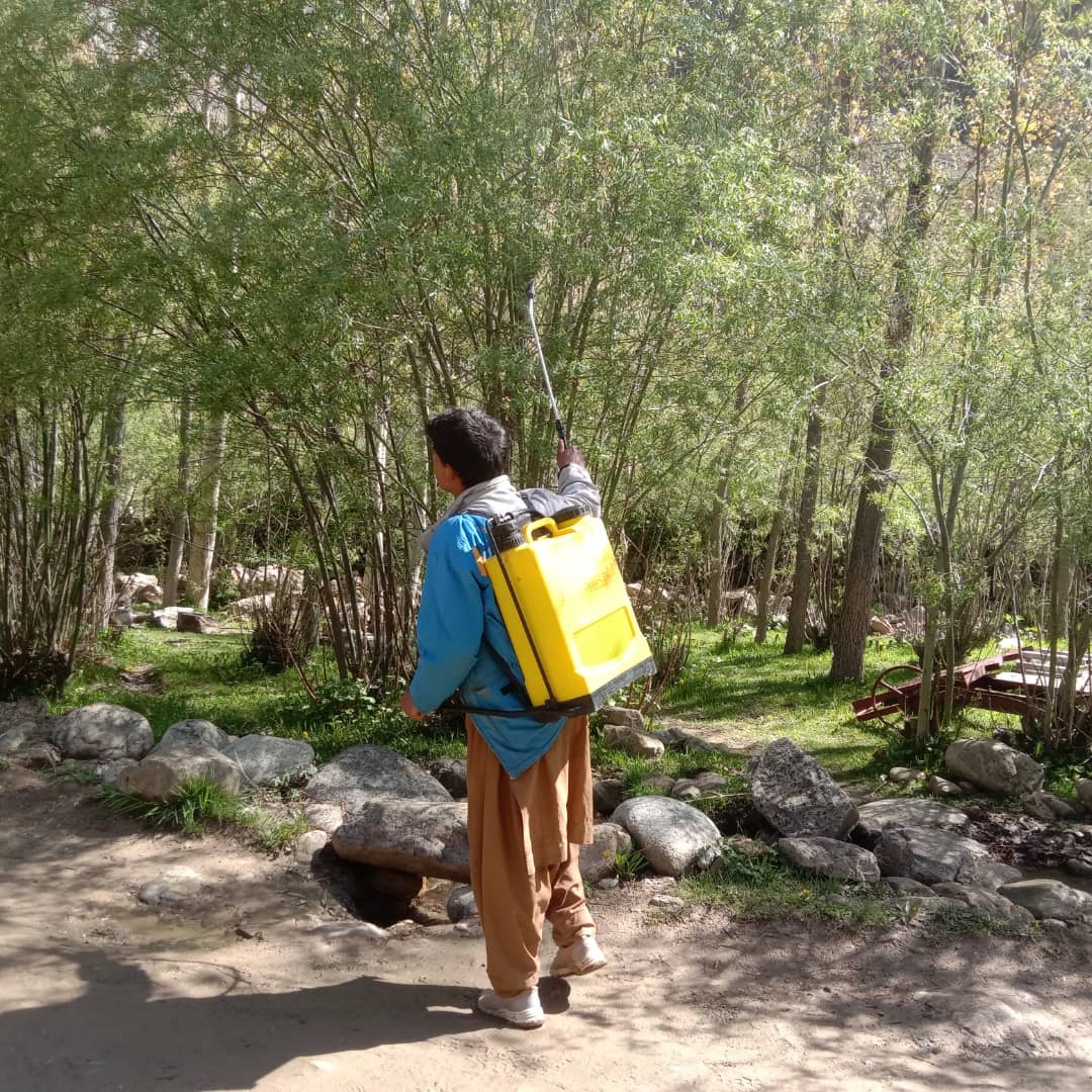 آغاز کمپاین مبارزه کیمیاوی با آفات مور پت‌دار در دو ولسوالی ولایت پنجشیر