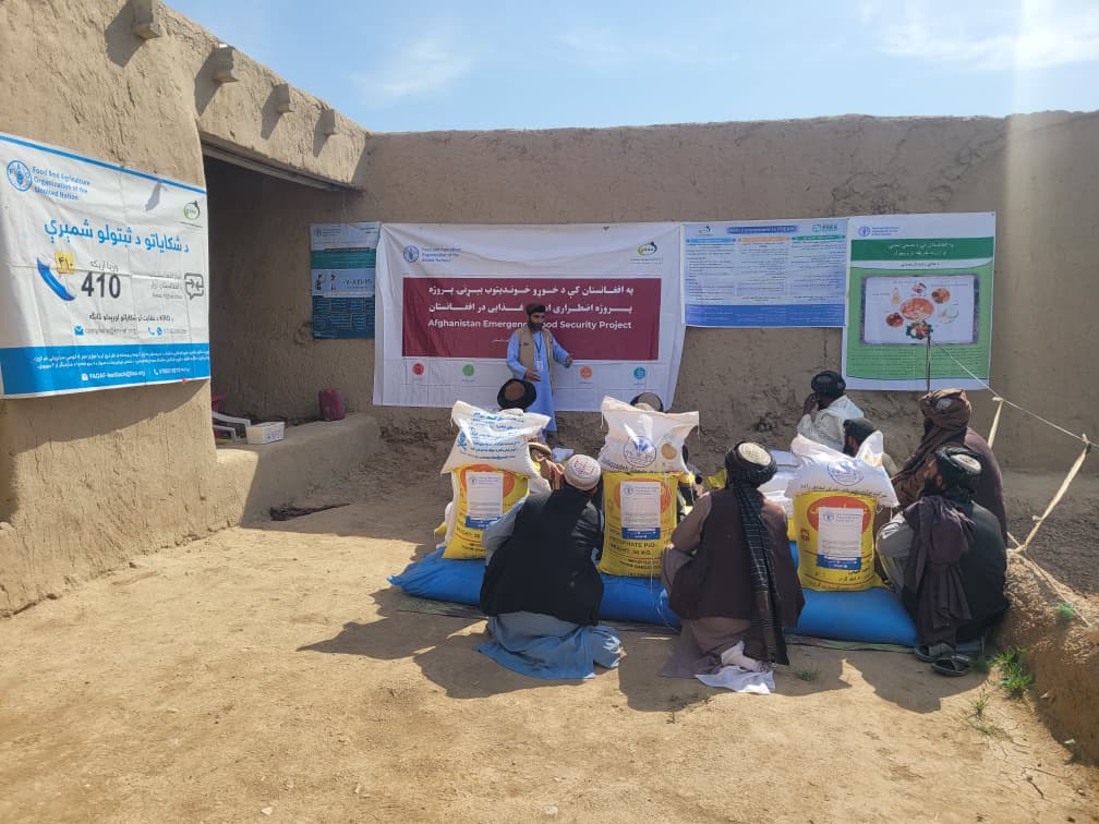 د کندهار لوړ میوند ولسوالی کې ۱۳۵ اړمنو بزګرانو ته د جوارو اصلاح شوي تخمونه او کیمیاوي سرې ووېشل شوې