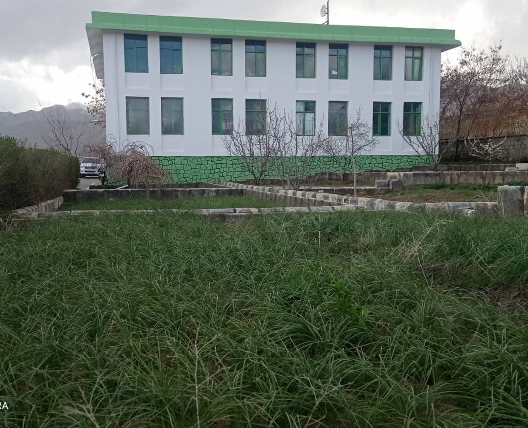توزیع بسته‌های تخم سبزی برای دهاقین در ولسوالی کجران دایکندی