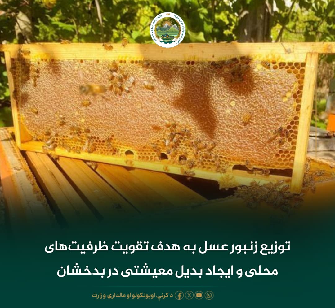 خبرهای مهم روز