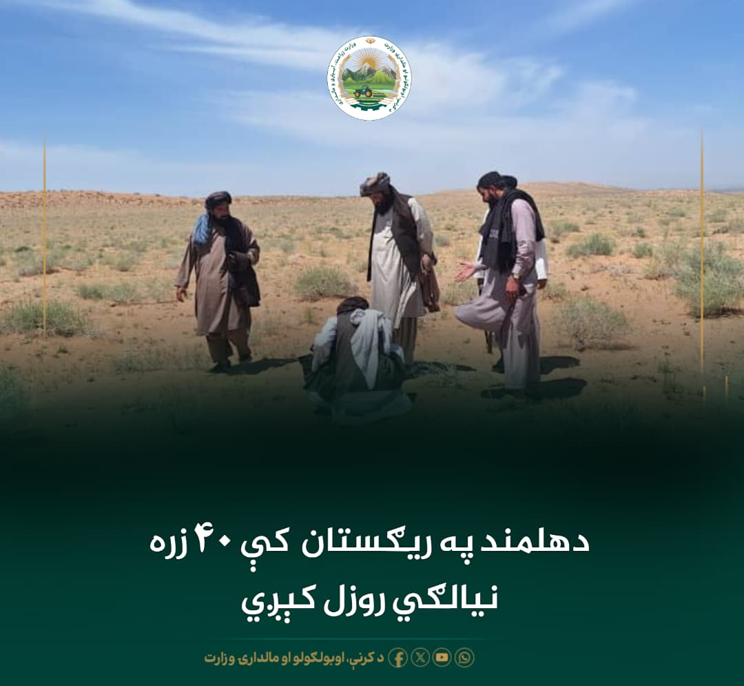 د ورځ مهمی خبری