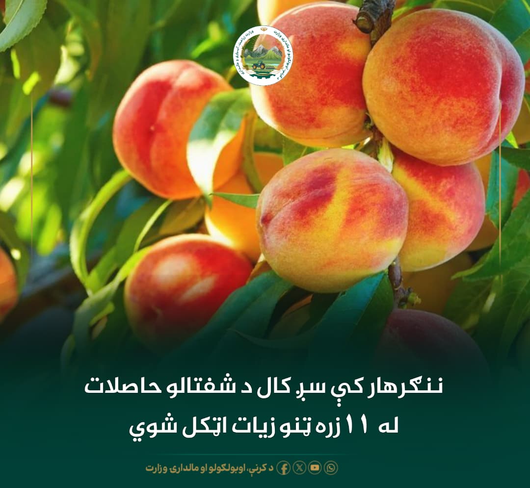 د ورځ مهمی خبری