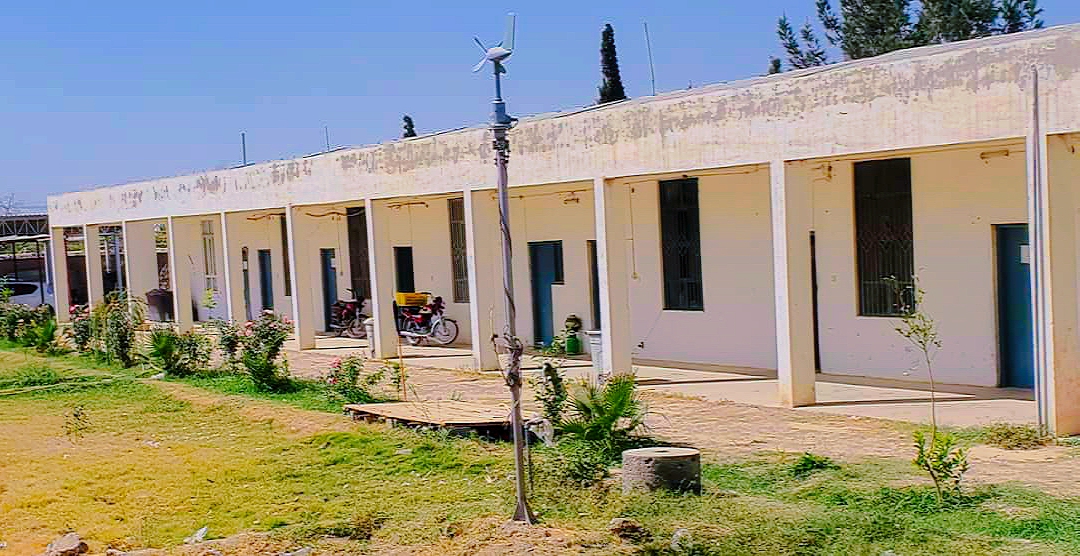 د کندهار دکرنې ریاست؛ کوهکران څېړنیز فارم کې پر بېلابېلو بوټو څېړنې روانې دي