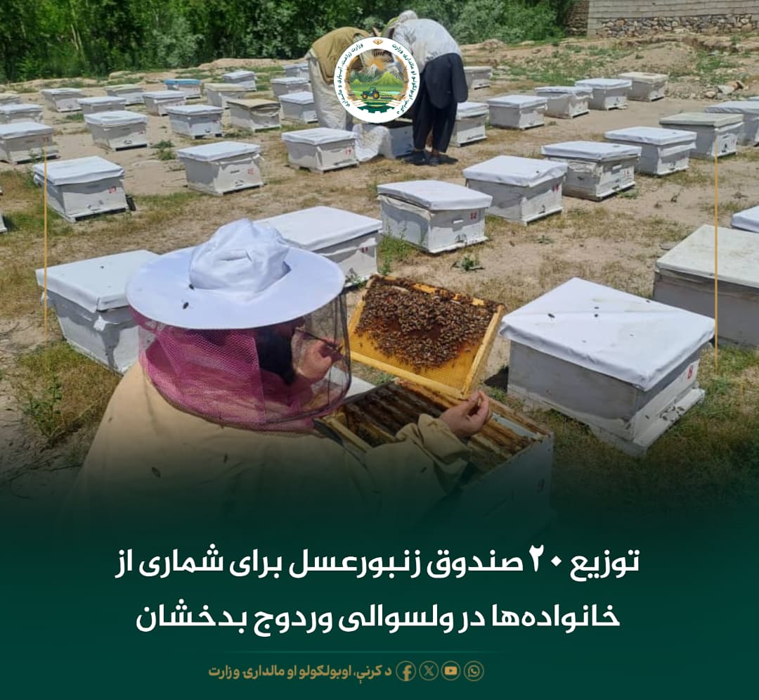 خبرهای مهم روز