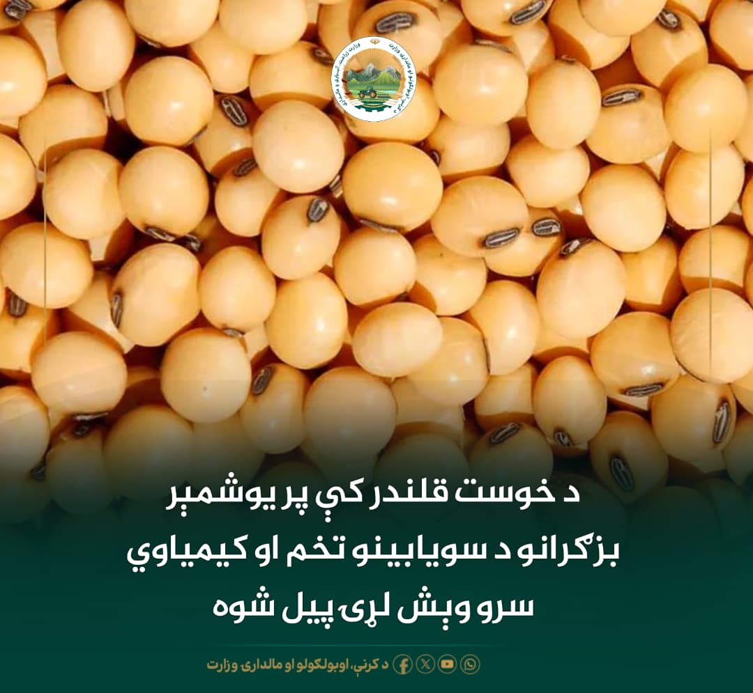 د ورځ مهمی خبری