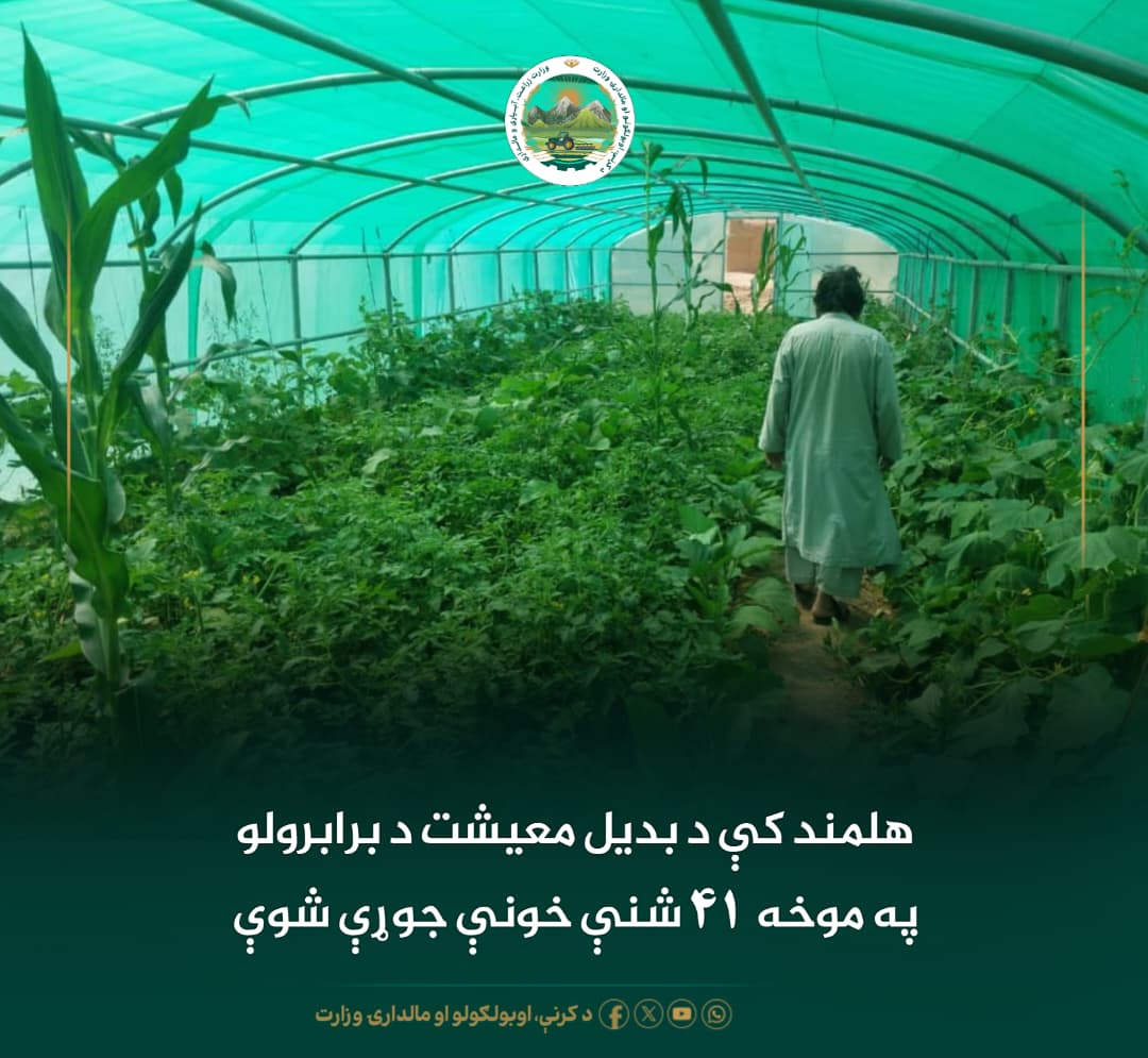 د ورځ مهمی خبری