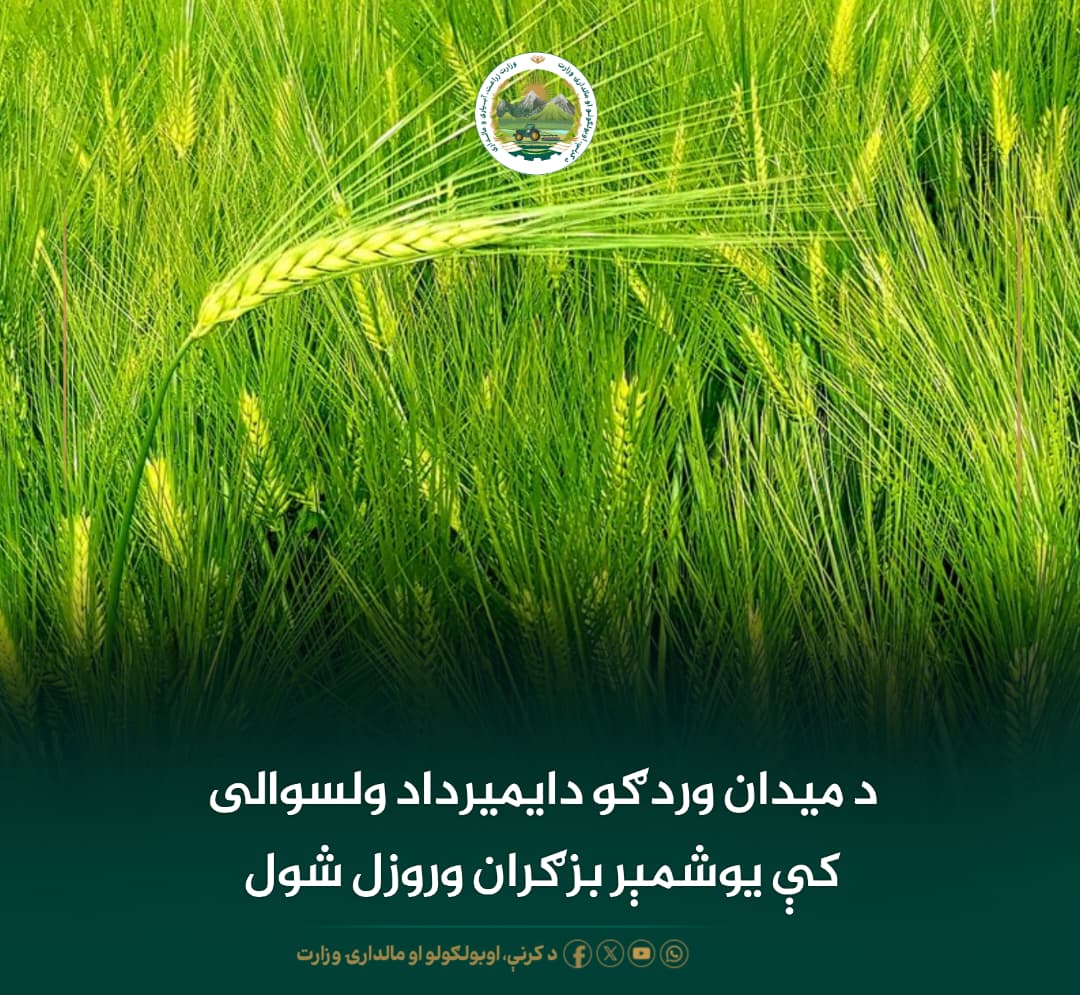 د ورځ مهمی خبری