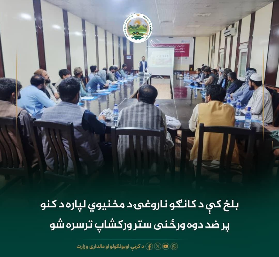 د ورځ مهمی خبری