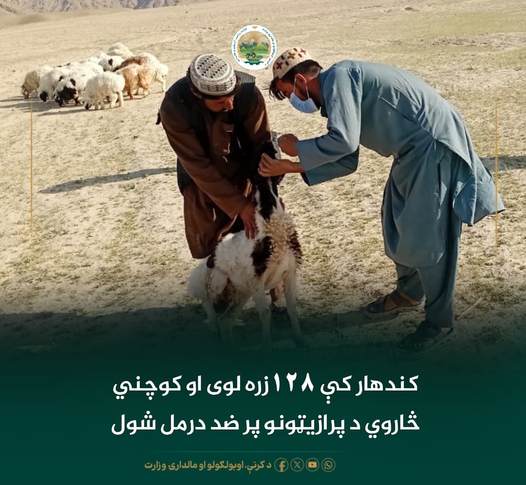 د ورځ مهمی خبری