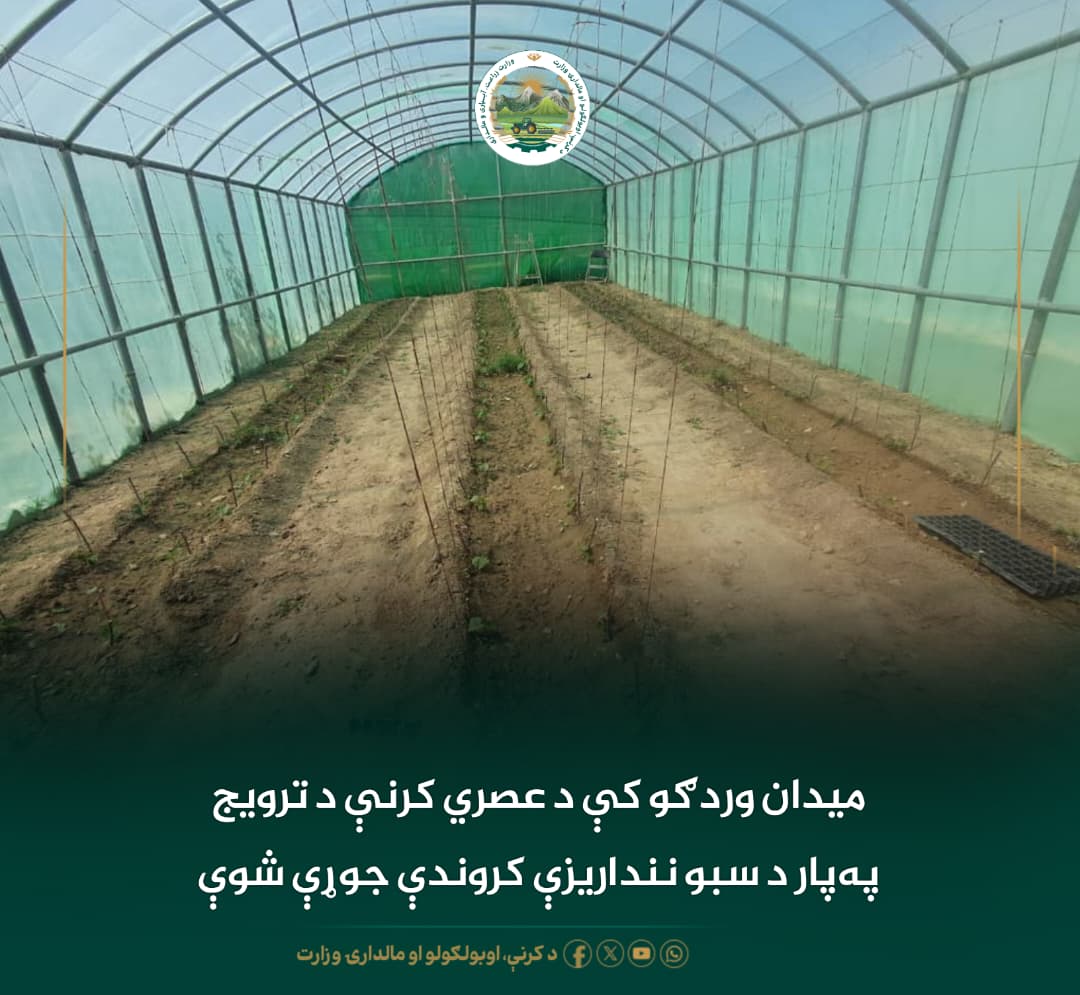 د ورځ مهمی خبری