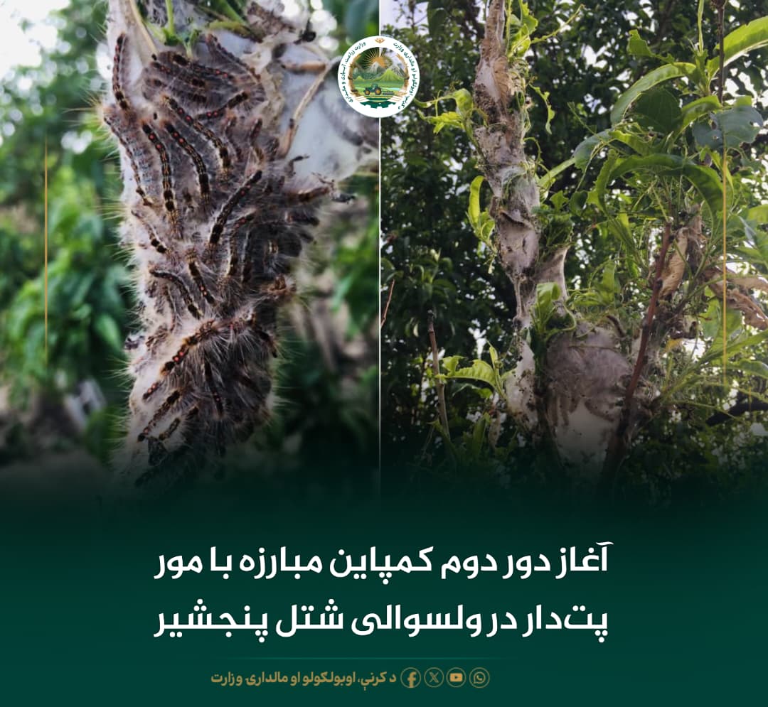 خبرهای مهم روز