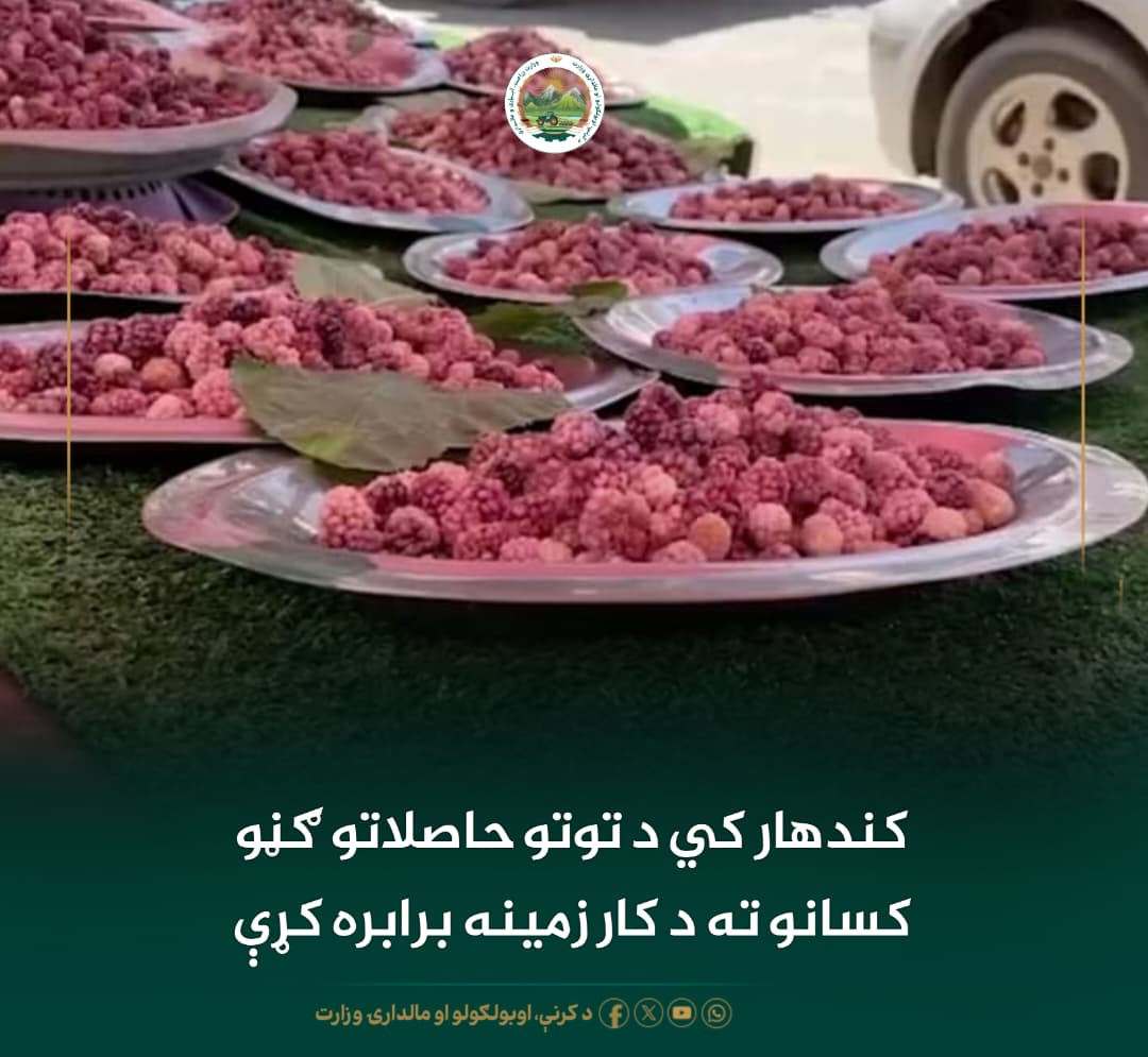 د ورځ مهمی خبری