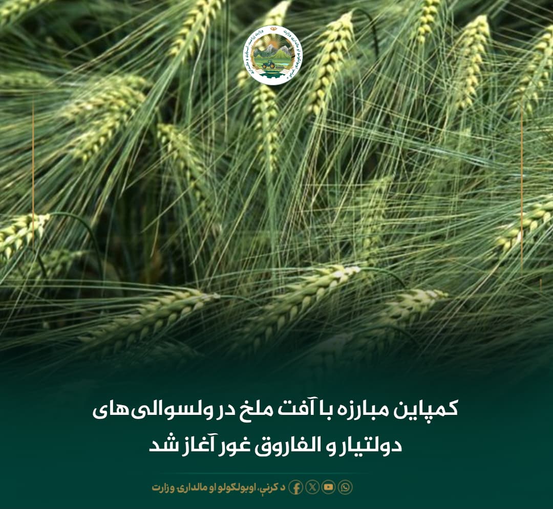 خبرهای مهم روز