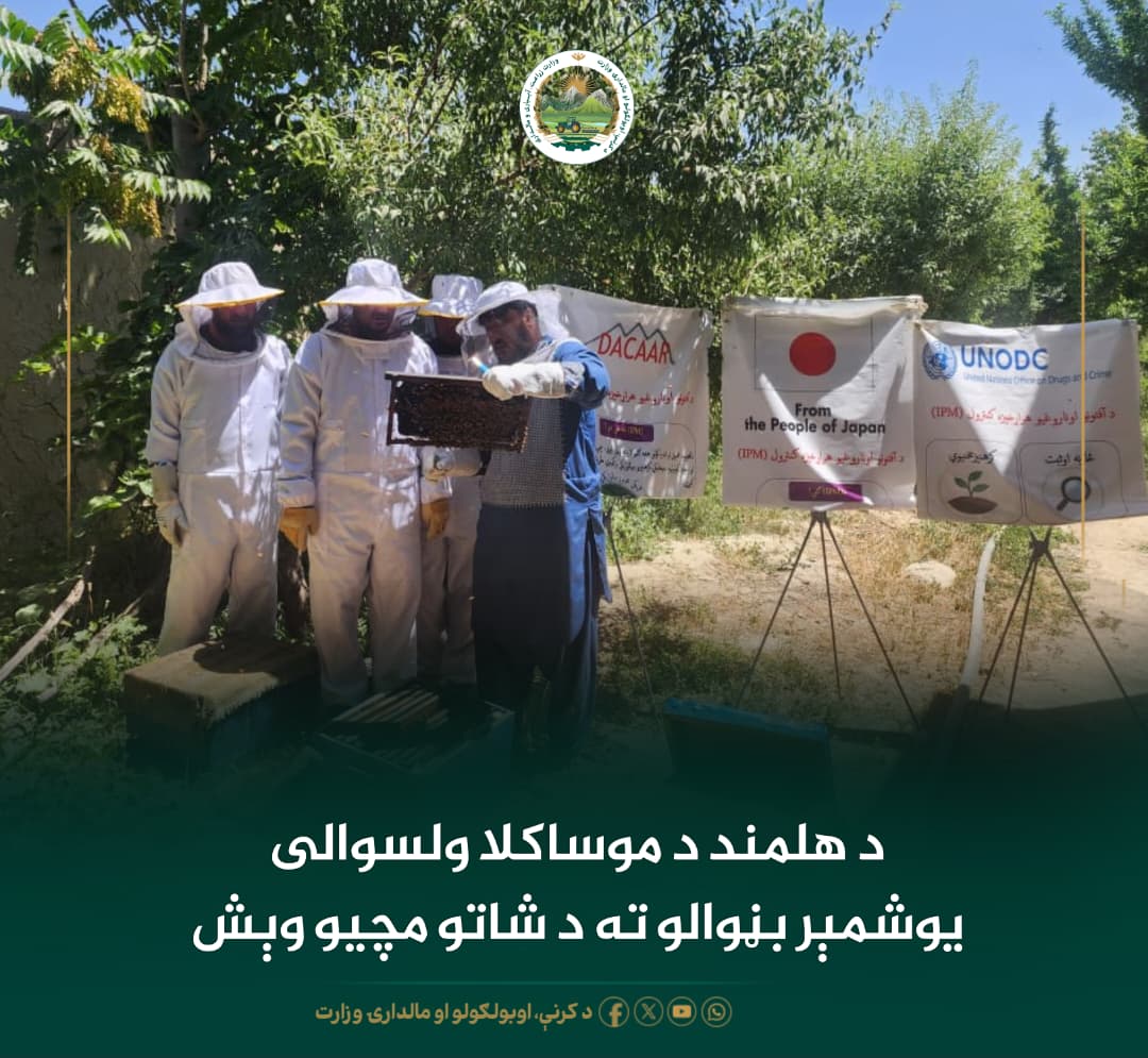 د ورځ مهمی خبری