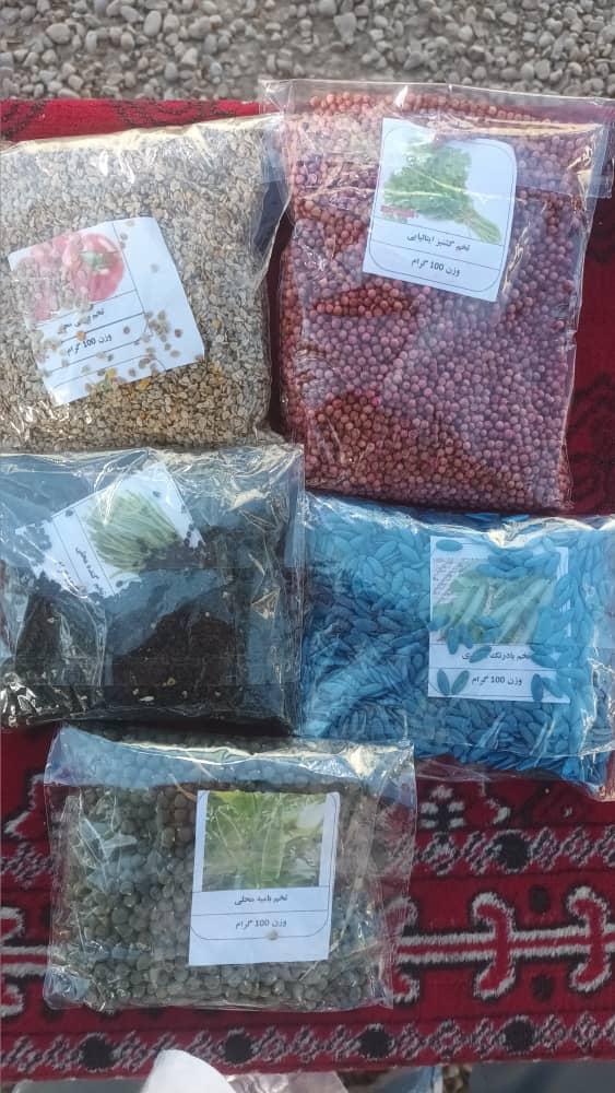 تخم‌های سبزیجات بهاری برای دهقانان ولسوالی زاری بلخ توزیع شد