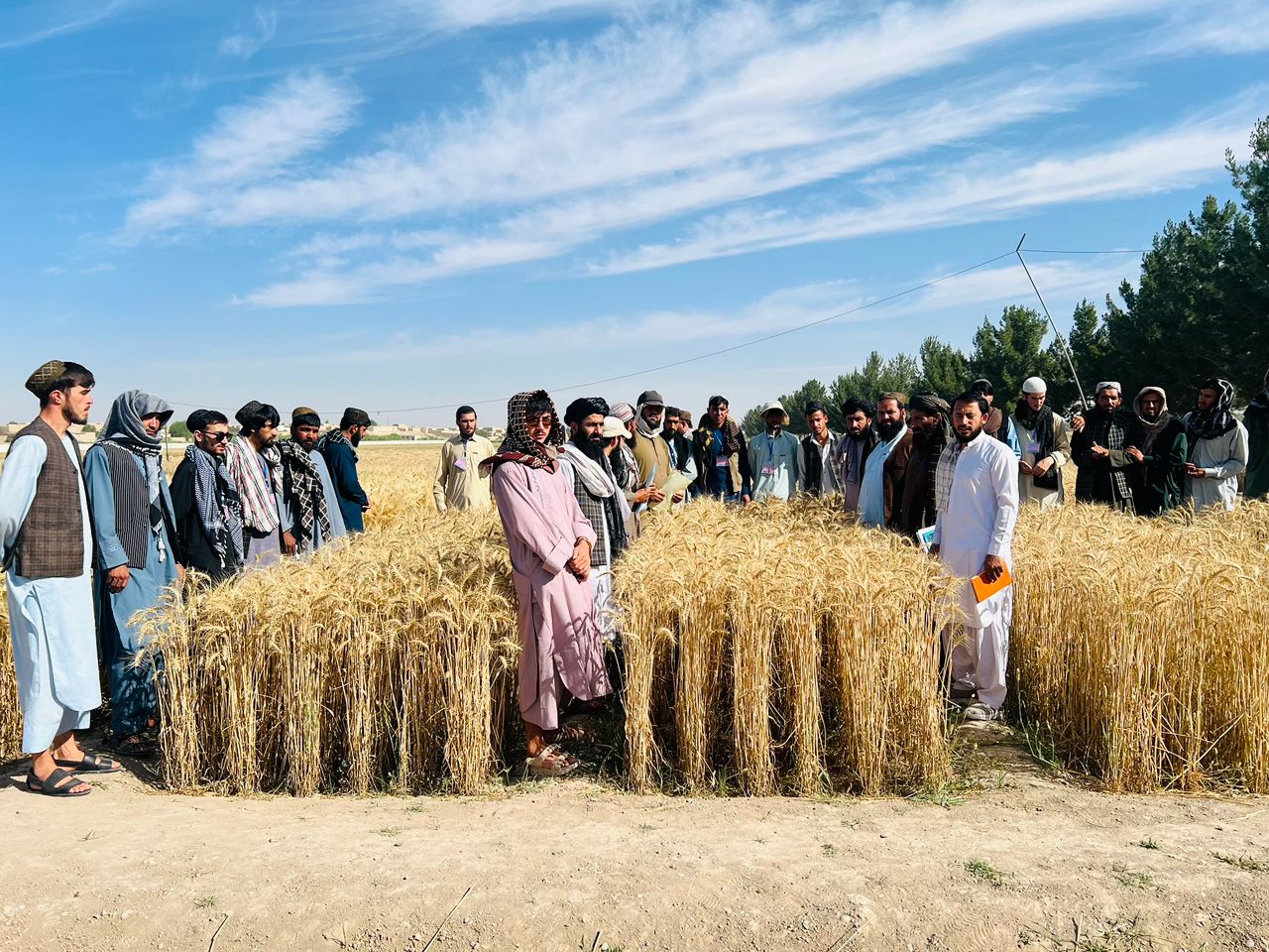 د فراه ولایت د کرنې پوهنځی زده کړیالانو د بولان څېړنیز فارم او انار باغ قوریه کې عملي زده کړې ترلاسه کړل