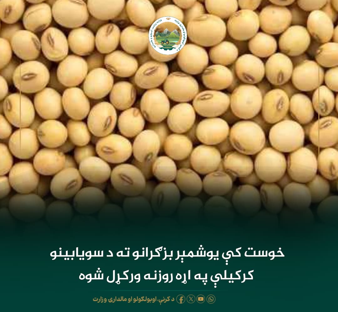 د ورځ مهمی خبری